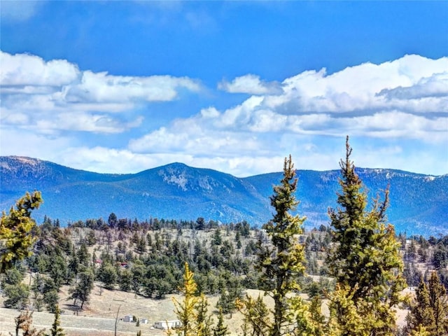 220 Pepperbox Path, Como CO, 80456 land for sale