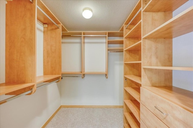 spacious closet featuring carpet