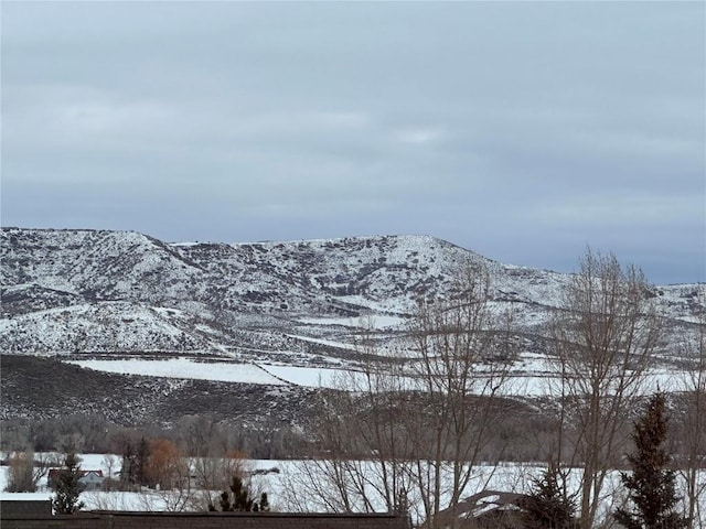 view of mountain feature