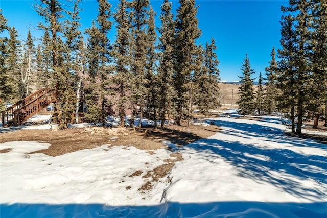 view of yard covered in snow