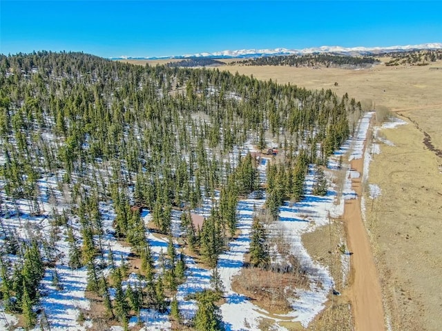 birds eye view of property with a mountain view