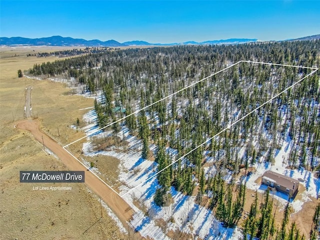 drone / aerial view with a mountain view