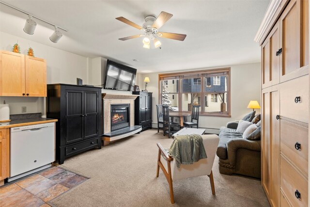 living room featuring ceiling fan, track lighting, and a baseboard heating unit