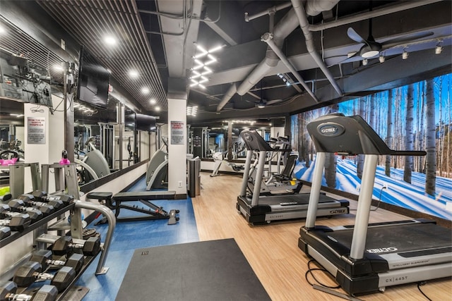 workout area featuring a ceiling fan and wood finished floors