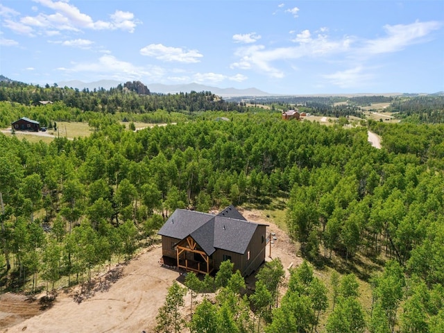 drone / aerial view featuring a mountain view