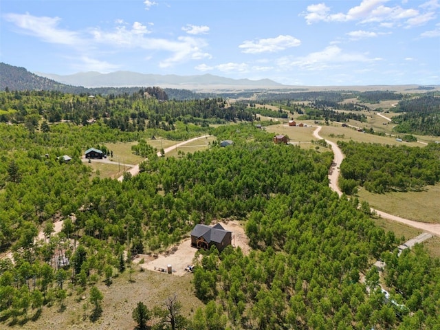 drone / aerial view featuring a mountain view