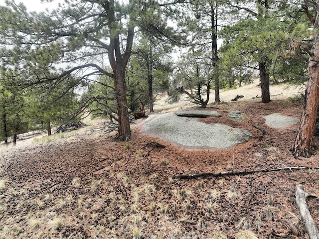 255 Pinon Ln, Florissant CO, 80816 land for sale