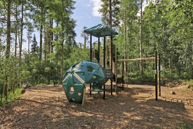 view of jungle gym