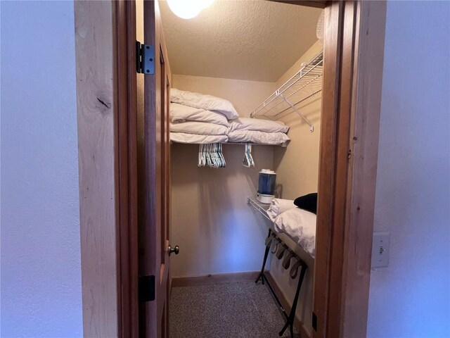 spacious closet featuring carpet flooring