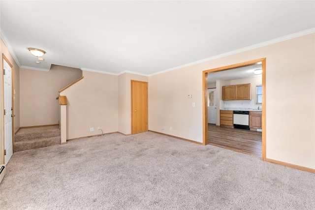 carpeted spare room with ornamental molding and a baseboard radiator