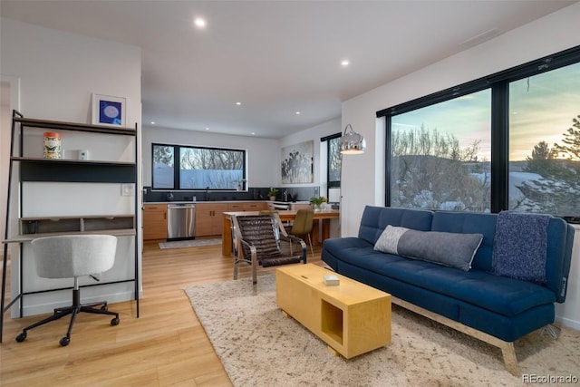 living room with hardwood / wood-style flooring