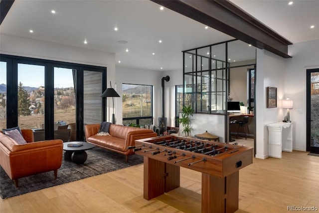 recreation room featuring light hardwood / wood-style flooring