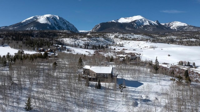 view of mountain feature