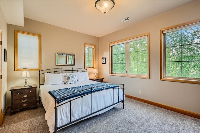 carpeted bedroom featuring multiple windows