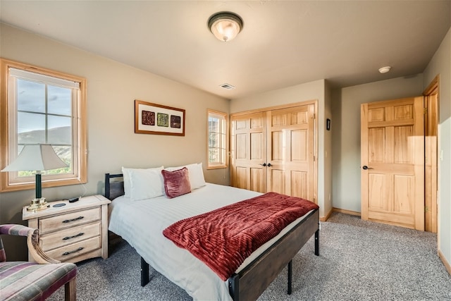 bedroom featuring carpet and a closet