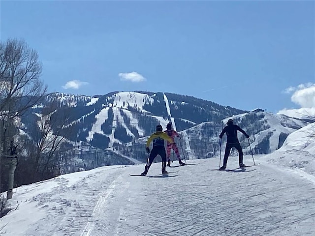 view of mountain feature