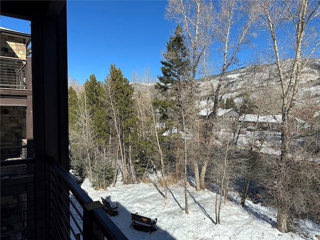 view of yard layered in snow