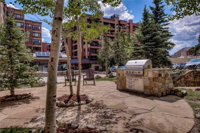 view of property's community with a patio and an outdoor kitchen