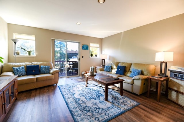 living room featuring dark hardwood / wood-style flooring