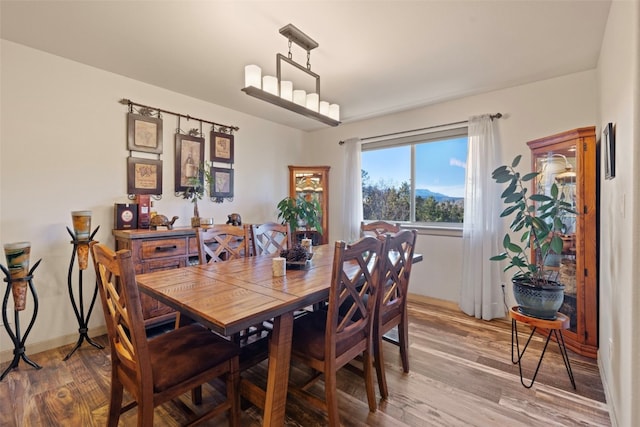 dining room with hardwood / wood-style flooring