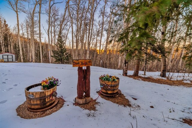 view of yard covered in snow