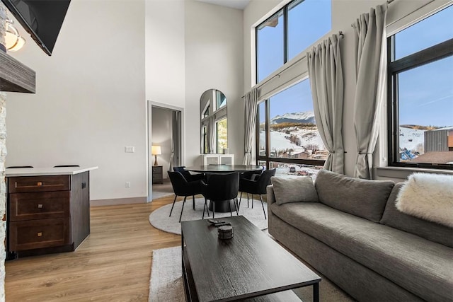 living room featuring a mountain view, a high ceiling, and light wood-type flooring