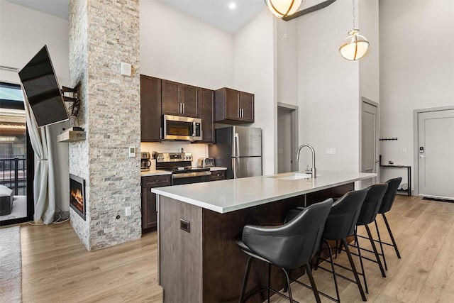 kitchen featuring stainless steel appliances, sink, light hardwood / wood-style flooring, a high ceiling, and a stone fireplace