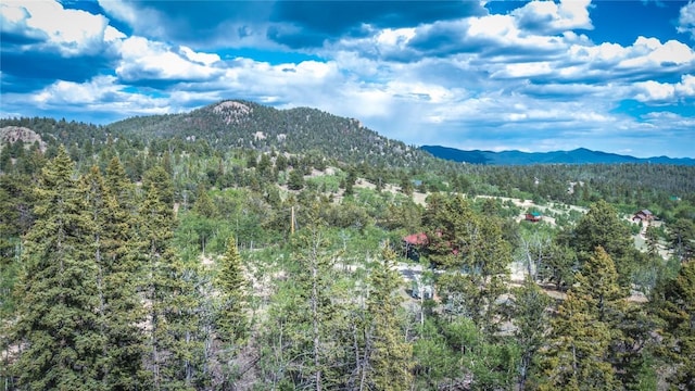 1140 Ute Trl, Como CO, 80456 land for sale