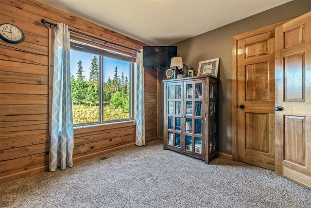 miscellaneous room with wooden walls and carpet flooring