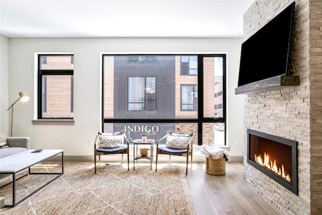 interior space featuring wood-type flooring and a fireplace