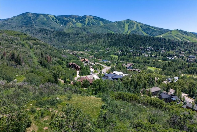 520 Steamboat Blvd, Steamboat Springs CO, 80487 land for sale