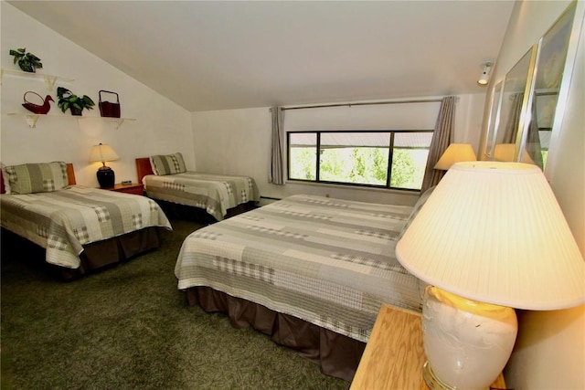 carpeted bedroom featuring vaulted ceiling