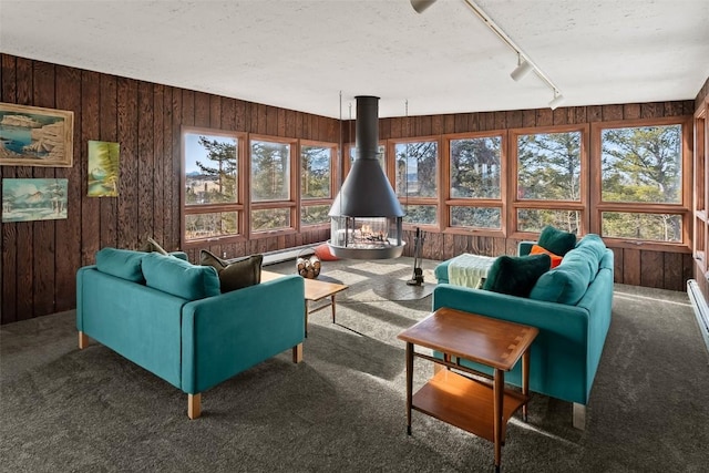 carpeted living room with track lighting, a textured ceiling, a baseboard heating unit, a wood stove, and wood walls