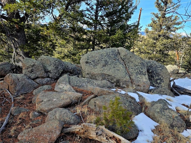 view of local wilderness