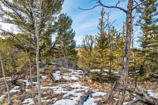 view of snowy landscape