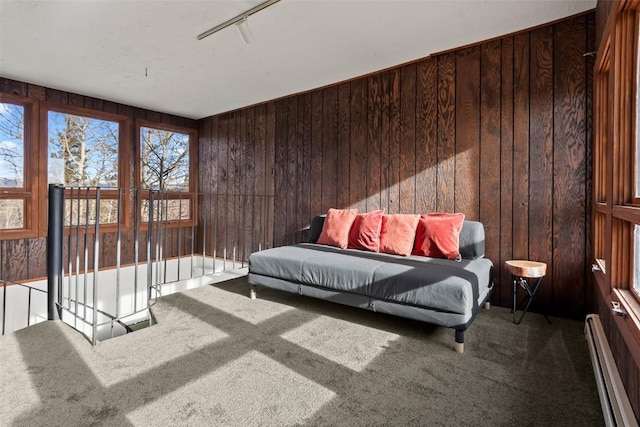 bedroom featuring baseboard heating, wood walls, carpet, and track lighting