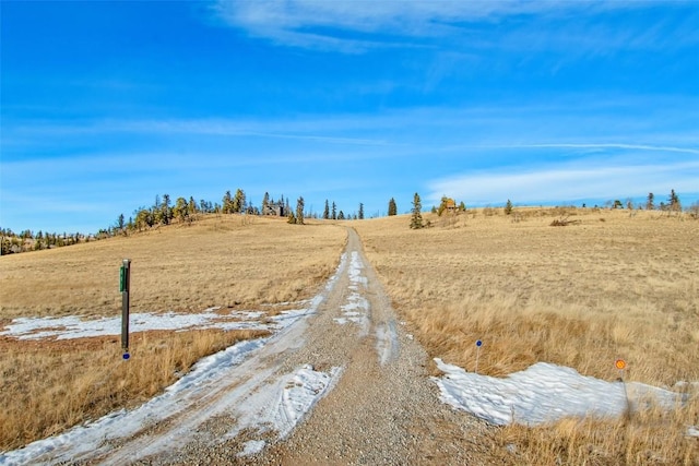 view of yard featuring a rural view