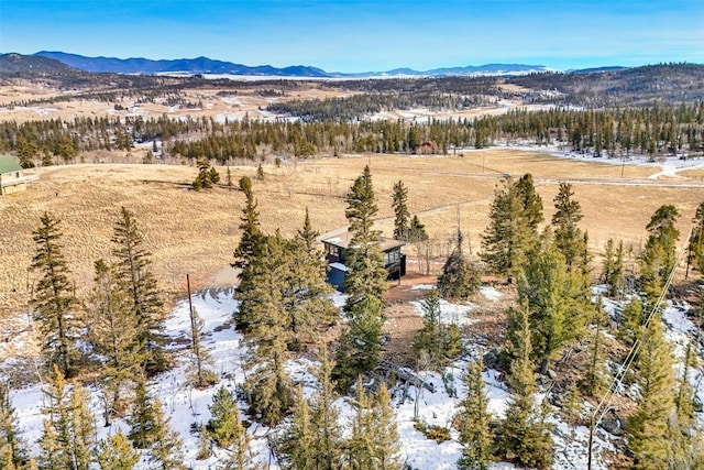 birds eye view of property with a mountain view