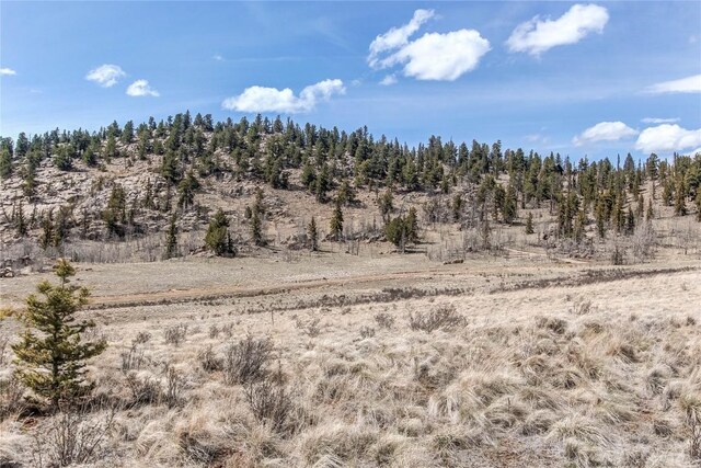 view of local wilderness with a rural view