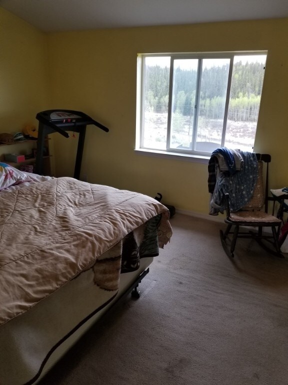 bedroom with carpet floors