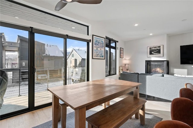 dining room featuring ceiling fan and light hardwood / wood-style floors