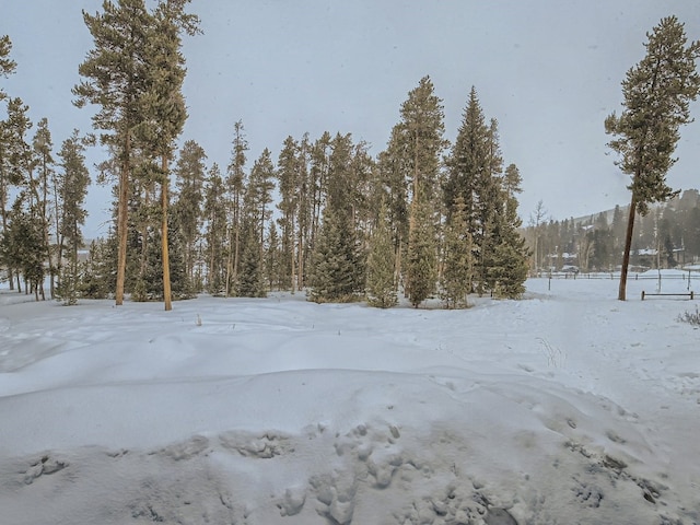 view of snowy yard