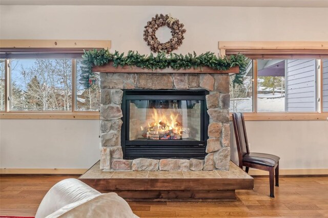 room details featuring wood finished floors, a fireplace, and baseboards