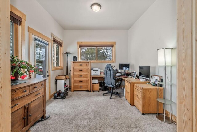 home office with a wealth of natural light and light colored carpet