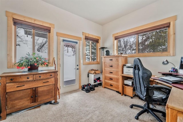 office area with light colored carpet