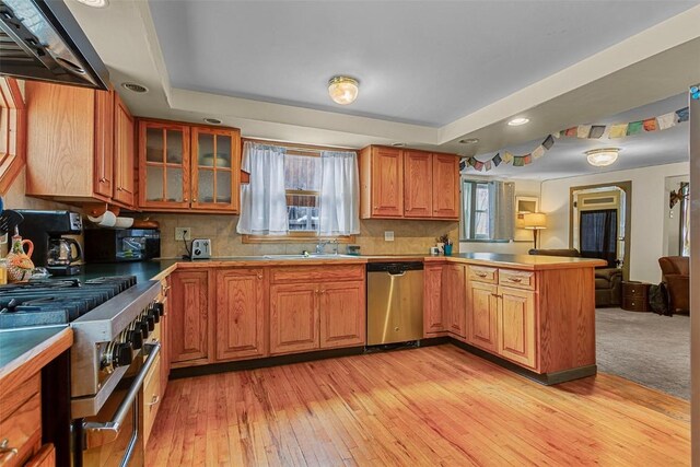 kitchen with backsplash, kitchen peninsula, appliances with stainless steel finishes, exhaust hood, and light wood-type flooring