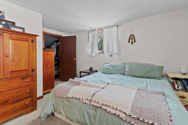 carpeted bedroom featuring a spacious closet and a closet