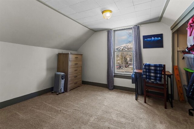 additional living space featuring carpet, radiator heating unit, lofted ceiling, and a healthy amount of sunlight