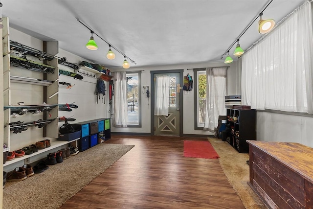 interior space with dark hardwood / wood-style flooring, rail lighting, and a healthy amount of sunlight