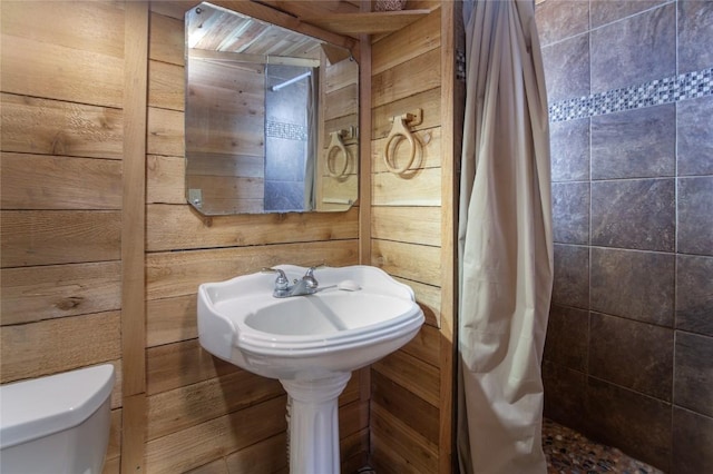 bathroom with toilet, wooden walls, and sink